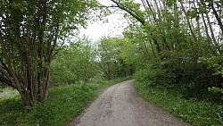 Obrázek z trasy Z rybářství Hemmelsdorf do přístavu Niendorf