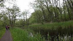 Bilder aus der Strecke Von Fischerei Hemmelsdorf nach Niendorfer Hafen