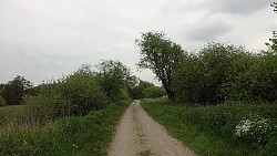 Bilder aus der Strecke Von Fischerei Hemmelsdorf nach Niendorfer Hafen