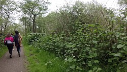 Obrázek z trasy Z rybářství Hemmelsdorf do přístavu Niendorf