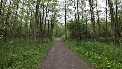 Obrázek z trasy Z rybářství Hemmelsdorf do přístavu Niendorf