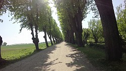 Bilder aus der Strecke Mit Fahrrad von Boltenhagen zum Schloss Bothmer