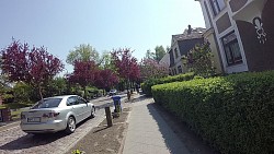 Bilder aus der Strecke Mit Fahrrad von Boltenhagen zum Schloss Bothmer