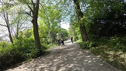 Bilder aus der Strecke Mit Fahrrad von Boltenhagen zum Schloss Bothmer