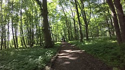 Bilder aus der Strecke Mit Fahrrad von Boltenhagen zum Schloss Bothmer