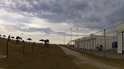 Immagine dalla pista Da Bibione a Faro con la bicicletta