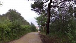 Immagine dalla pista Da Bibione a Faro con la bicicletta