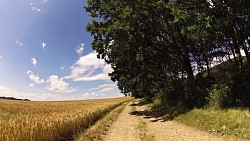 Obrázek z trasy Z Trhových Svinů k podivuhodným Vandličkám a zpět