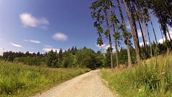 Obrázek z trasy Z Blanska na rozhlednu do Veselice