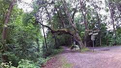 Obrázek z trasy Z Café Wildau na Askanierturm