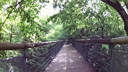 Obrázek z trasy Stezka v korunách stromů v národním parku Hainich