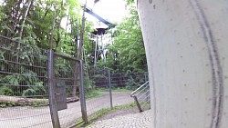 Obrázek z trasy Stezka v korunách stromů v národním parku Hainich