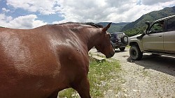 Obrázek z trasy Off-roadové přebrodění zatopené cesty u jezera Poiana Marului