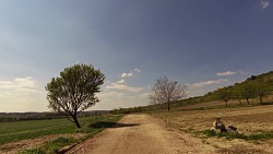 Picture from track Cycling route across the André region