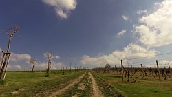 Picture from track Cycling route across the André region