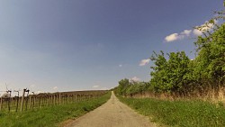 Picture from track Cycling route across the André region