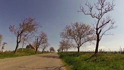 Picture from track Cycling route across the André region