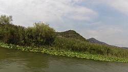 Obrázek z trasy Skadarské jezero - z Virpazaru do Godinje