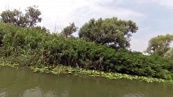 Obrázek z trasy Skadarské jezero - z Virpazaru do Godinje