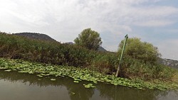 Obrázek z trasy Skadarské jezero - z Virpazaru do Godinje