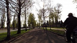 Фото с дорожки 