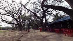 Picture from track From Siem Reap to Angkor Wat