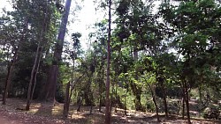 Picture from track Angkor Wat