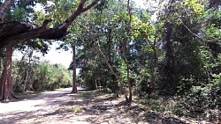 Obrázek z trasy Angkor Wat