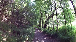 Picture from track Historical walk through Horšovský Týn and its surroundings