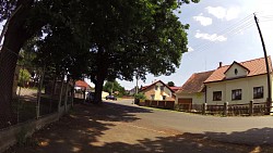 Picture from track Historical walk through Horšovský Týn and its surroundings