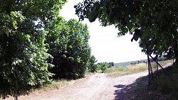 Picture from track Historical walk through Horšovský Týn and its surroundings