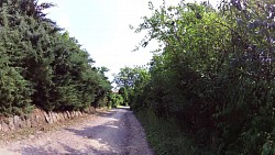 Picture from track Historical walk through Horšovský Týn and its surroundings