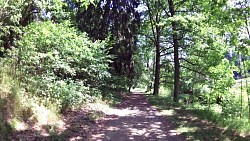 Picture from track Historical walk through Horšovský Týn and its surroundings