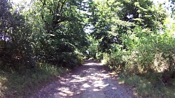 Picture from track Historical walk through Horšovský Týn and its surroundings