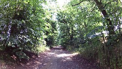 Picture from track Historical walk through Horšovský Týn and its surroundings