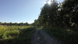 Obrázek z trasy Ze Senftenbergu okolo dvou jezer