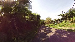 Picture from track Mountainbiking · Lake Garda - Monte Brione Family Loop