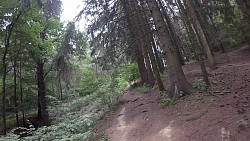 Obrázek z trasy Naučná stezka - S rytířem na Blaník