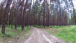 Obrázek z trasy Pěší trasa z rozhledny Krkavec na zámek Křimice