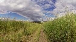 Obrázek z trasy Pěší trasa Trmice, po stopách Přemysla Oráče