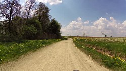 Picture from track Dačice - across Kázek to Kostelní Vydří - around a cascade of ponds - Dačice