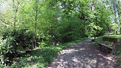 Picture from track Dačice - across Kázek to Kostelní Vydří - around a cascade of ponds - Dačice