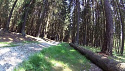 Picture from track Dačice - across Kázek to Kostelní Vydří - around a cascade of ponds - Dačice