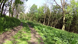 Picture from track Dačice - across Kázek to Kostelní Vydří - around a cascade of ponds - Dačice