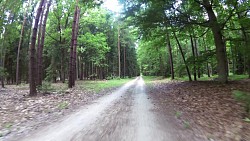 Obrázek z trasy Zděná Bouda - Výskyt - Hradečnice - Stříbrný rybník - Zděná Bouda