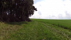 Picture from track Dačice – Volfířov – Markvarec – Český Rudolec – Lidéřovice – Dačice