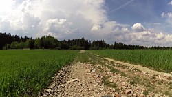 Picture from track Dačice – Volfířov – Markvarec – Český Rudolec – Lidéřovice – Dačice