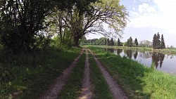 Obrázek z trasy Čelákovice - Brandýs nad Labem - Kostelec nad Labem