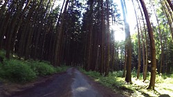 Obrázek z trasy Po Greenway  do Slavonic a na magický Montserrat