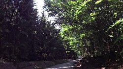 Obrázek z trasy Z Hradu Landštejn po přírodních i kulturních zajímavostech České Kanady